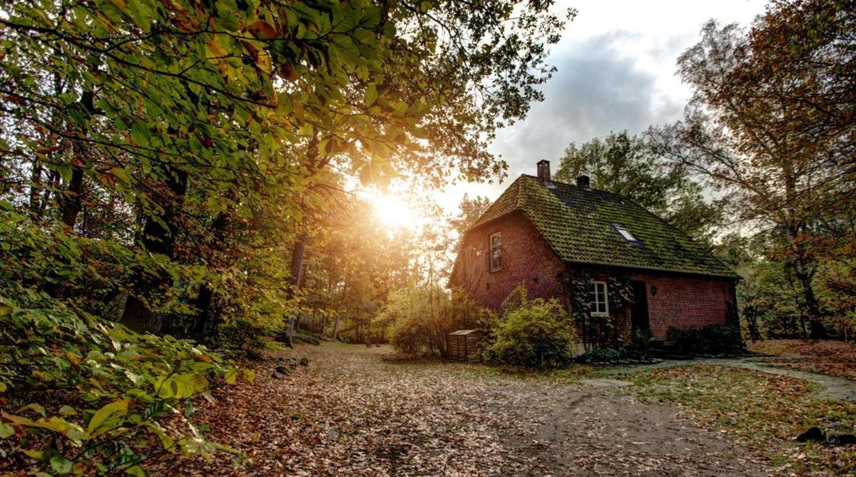 Forsthaus - Gut Thansen Soderstorf ภายนอก รูปภาพ